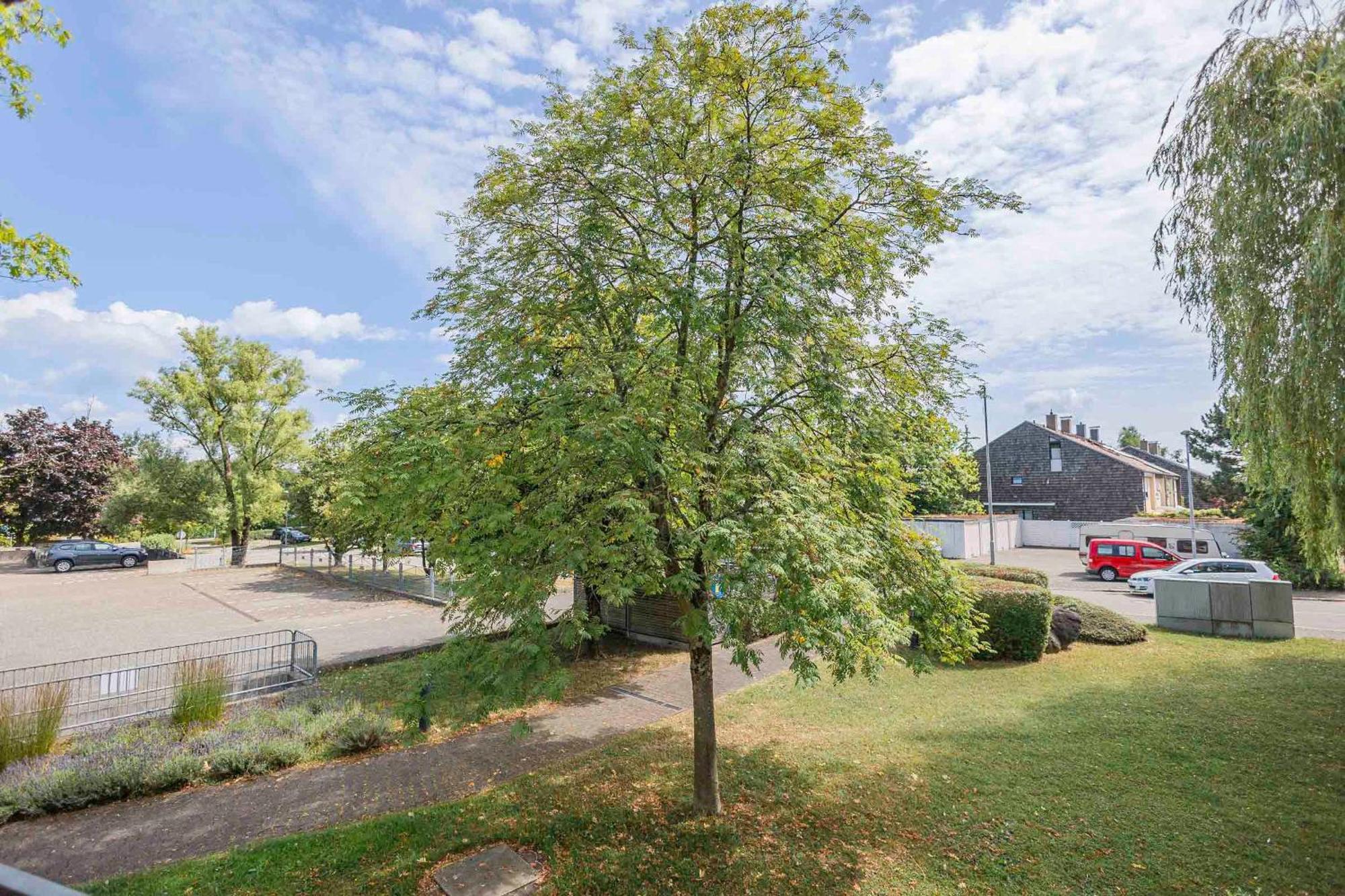 Ferienwohnpark Immenstaad Am Bodensee Zwei-Zimmer-Apartment 53 09 מראה חיצוני תמונה